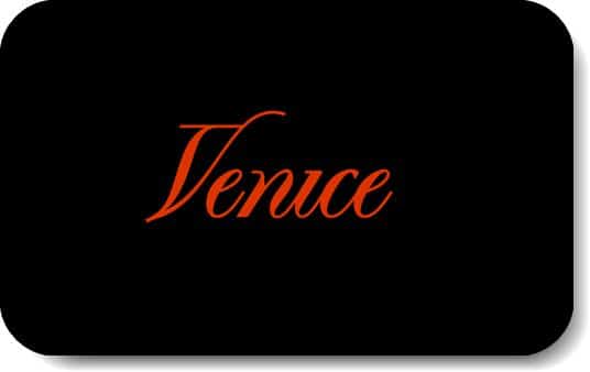 Venice AI for chatting without filters