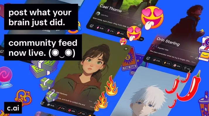 community feed now live