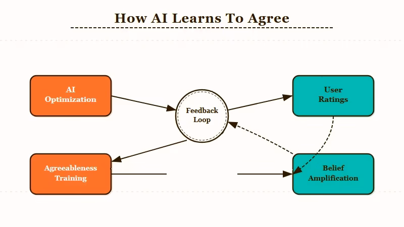 AI feedback loop agreeableness bias amplification training cycle