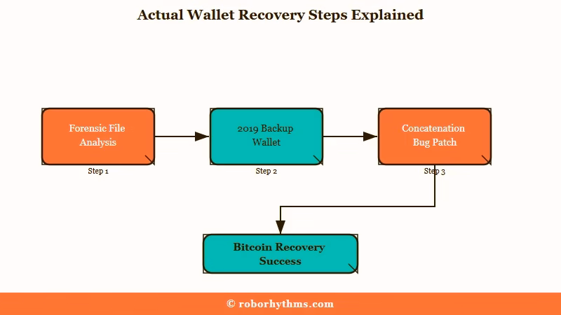 Claude wallet recovery forensic file analysis flow