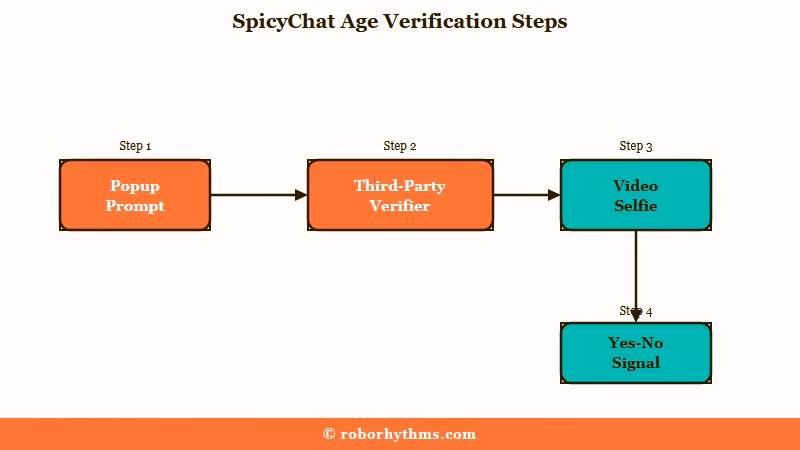 SpicyChat age verification process flow