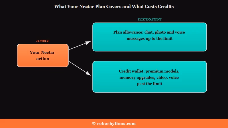 Nectar AI plan allowance versus credit wallet