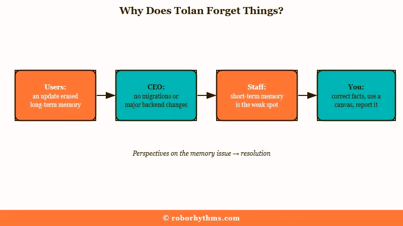 Tolan memory problems causes and fixes